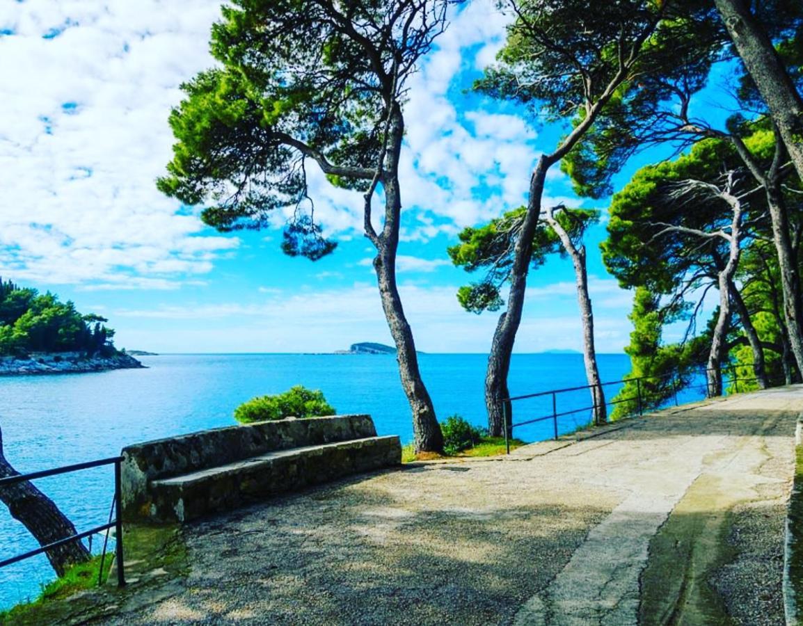 Luxury House Anita In Old Town Cavtat-beachfront *