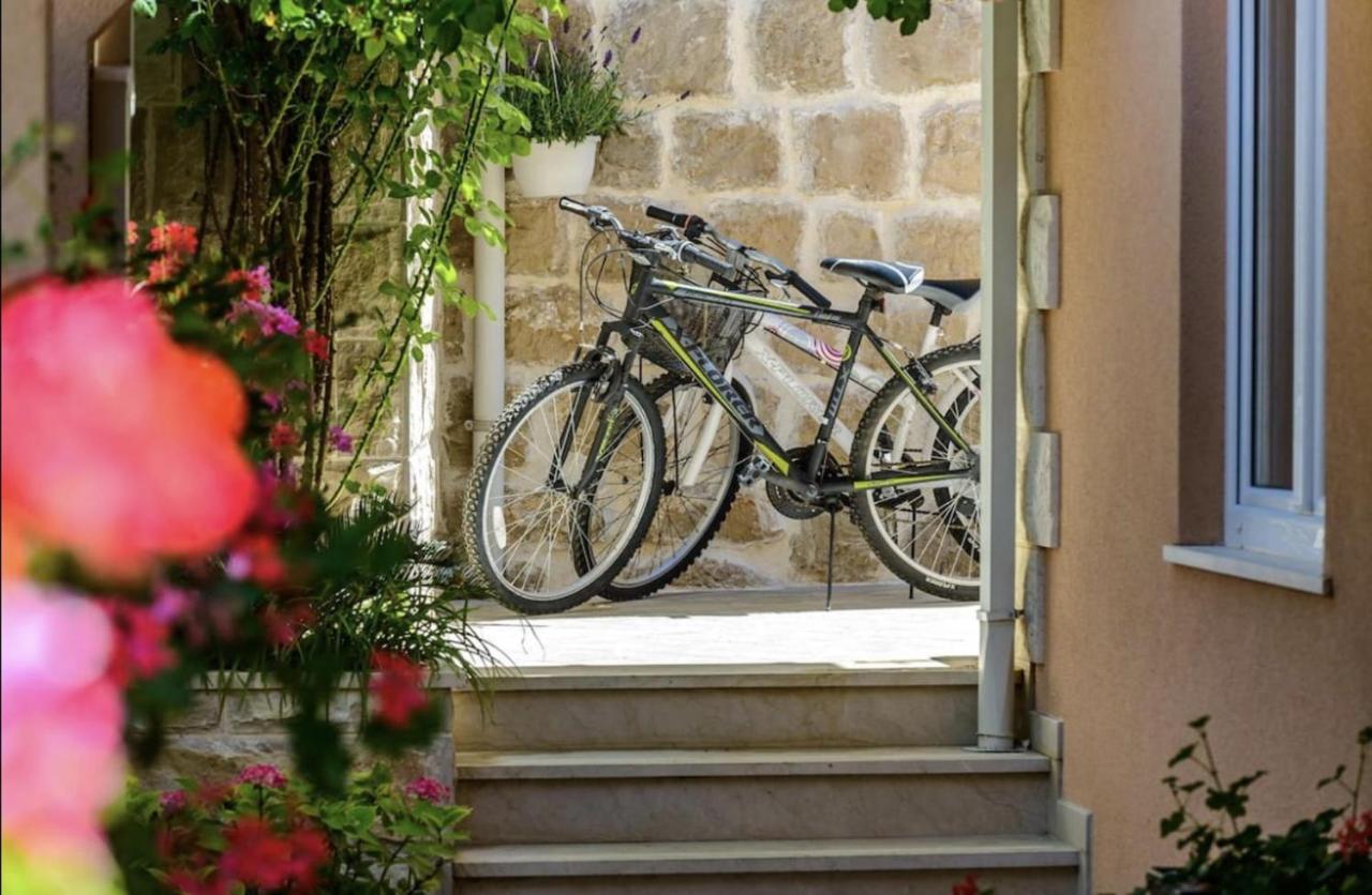 Luxury House Anita In Old Town Cavtat-beachfront